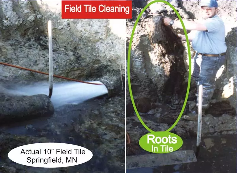 10 inch field tile in Springfield, MN showing a mass of roots removed from it